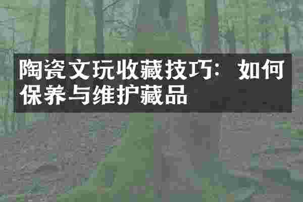 陶瓷文玩收藏技巧：如何保养与维护藏品