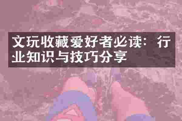 文玩收藏爱好者必读：行业知识与技巧分享