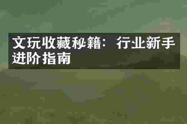 文玩收藏秘籍：行业新手进阶指南
