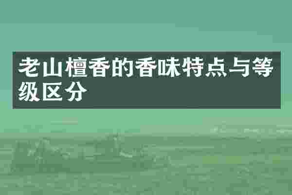 老山檀香的香味特点与等级区分