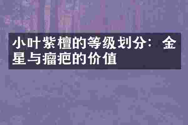 小叶紫檀的等级划分：金星与瘤疤的价值