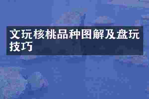 文玩核桃品种图解及盘玩技巧