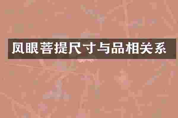 凤眼菩提尺寸与品相关系