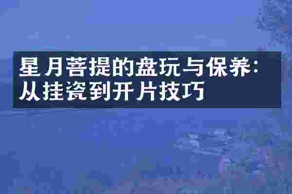星月菩提的盘玩与保养：从挂瓷到开片技巧