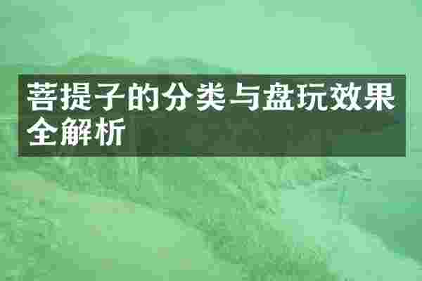 菩提子的分类与盘玩效果全解析