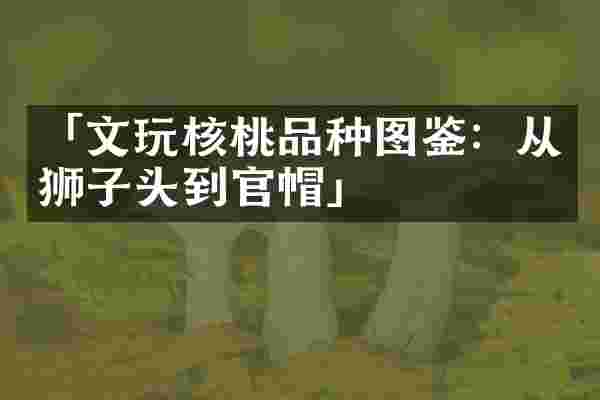 「文玩核桃品种图鉴：从狮子头到官帽」