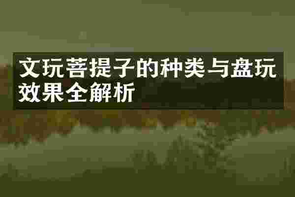 文玩菩提子的种类与盘玩效果全解析