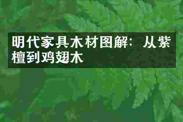 明代家具木材图解：从紫檀到鸡翅木