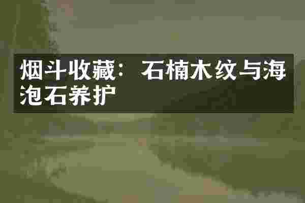 烟斗收藏：石楠木纹与海泡石养护