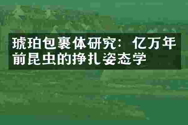 琥珀包裹体研究：亿万年前昆虫的挣扎姿态学