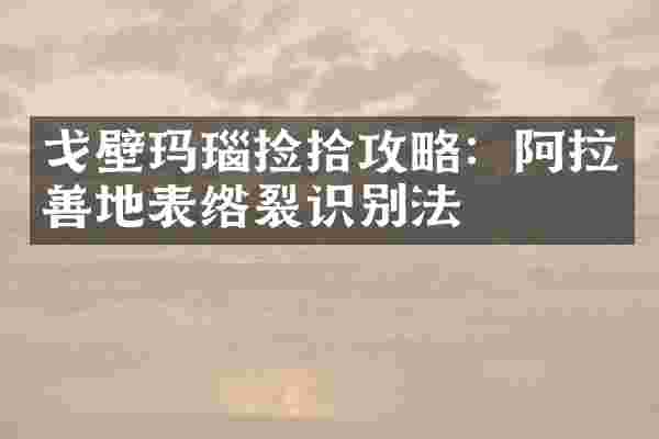 戈壁玛瑙捡拾攻略：阿拉善地表绺裂识别法
