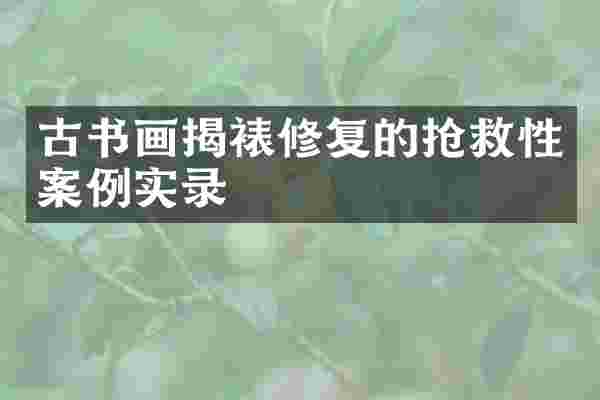 古书画揭裱修复的抢救性案例实录