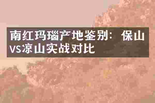 南红玛瑙产地鉴别：保山vs凉山实战对比