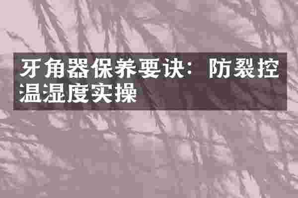 牙角器保养要诀：防裂控温湿度实操