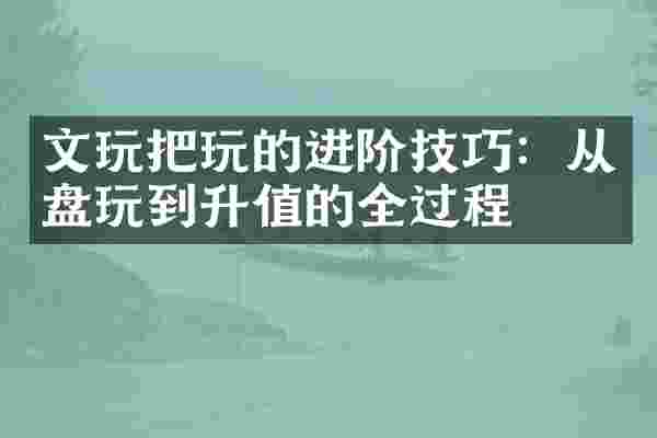 文玩把玩的进阶技巧：从盘玩到升值的全过程