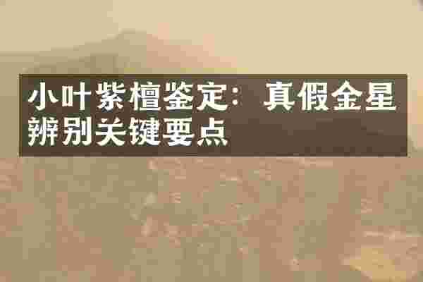 小叶紫檀鉴定：真假金星辨别关键要点