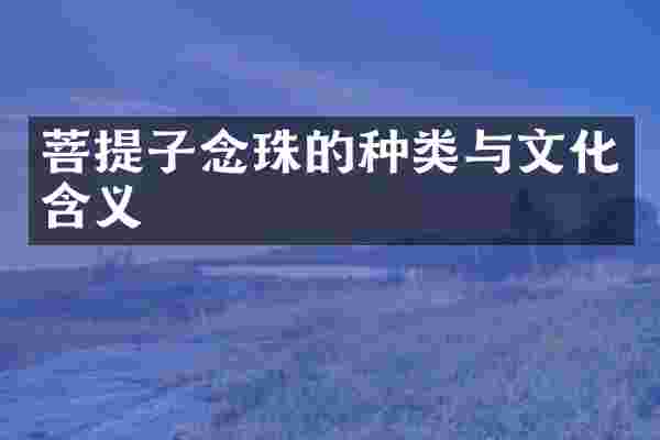 菩提子念珠的种类与文化含义