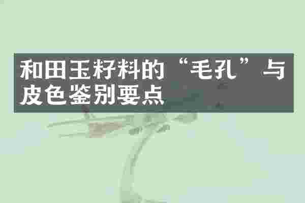 和田玉籽料的&ldquo;毛孔&rdquo;与皮色鉴别要点