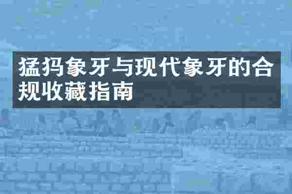 猛犸象牙与现代象牙的合规收藏指南