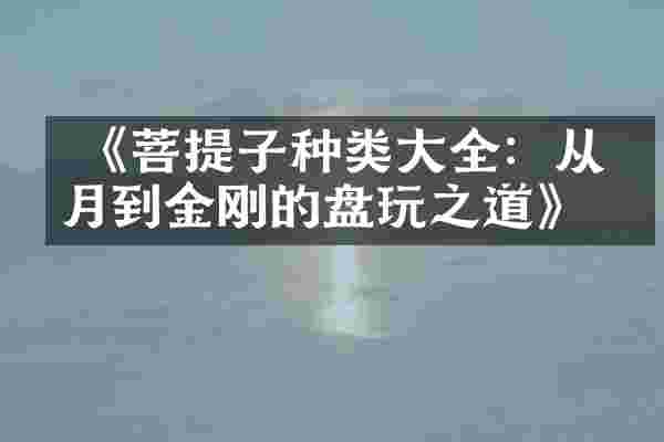  《菩提子种类大全：从星月到金刚的盘玩之道》