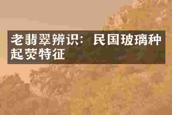 老翡翠辨识：民国玻璃种起荧特征