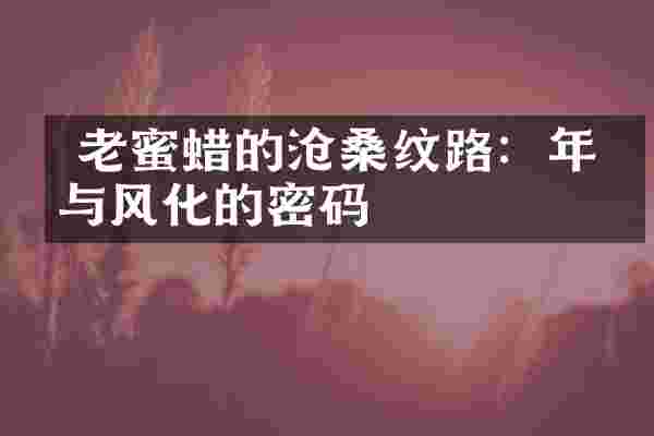 老蜜蜡的沧桑纹路:年份与风化的密码