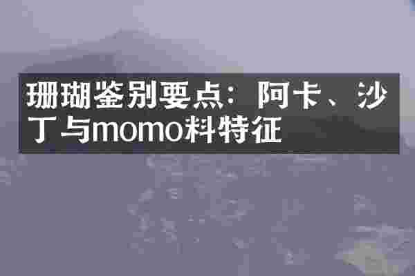 珊瑚鉴别要点：阿卡、沙丁与momo料特征