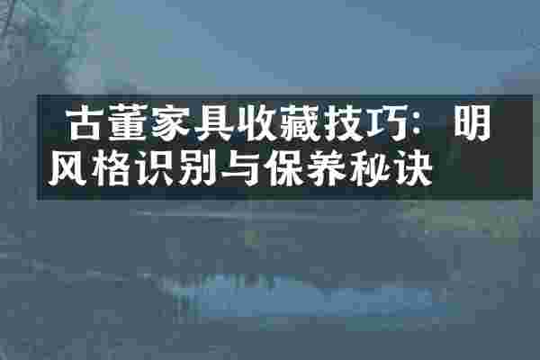  古董家具收藏技巧：明清风格识别与保养秘诀