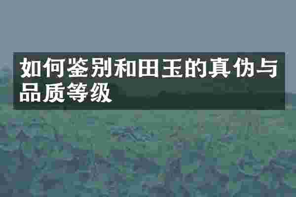 如何鉴别和田玉的真伪与品质等级