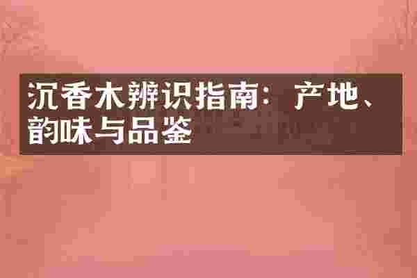沉香木辨识指南：产地、韵味与品鉴