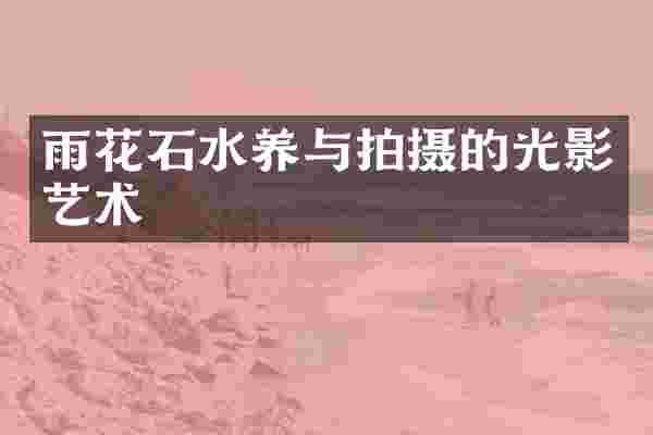 雨花石水养与拍摄的光影艺术