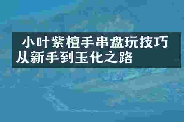  小叶紫檀手串盘玩技巧：从新手到玉化之路