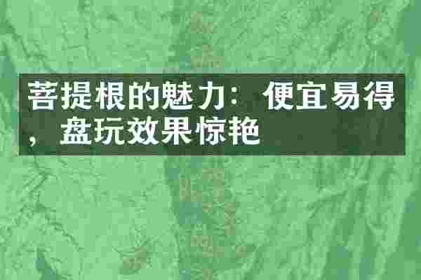 菩提根的魅力：便宜易得，盘玩效果惊艳