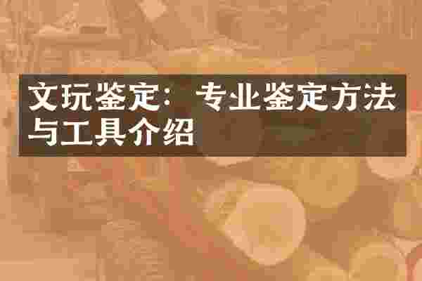 文玩鉴定：专业鉴定方法与工具介绍