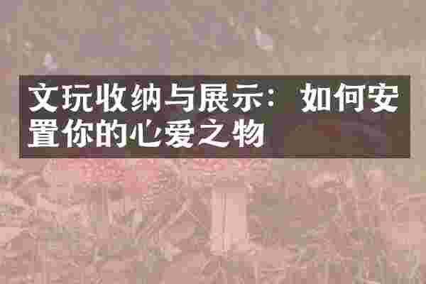 文玩收纳与展示：如何安置你的心爱之物