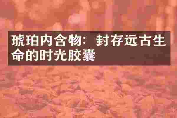 琥珀内含物：封存远古生命的时光胶囊