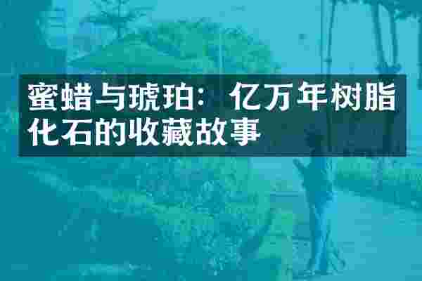 蜜蜡与琥珀：亿万年树脂化石的收藏故事